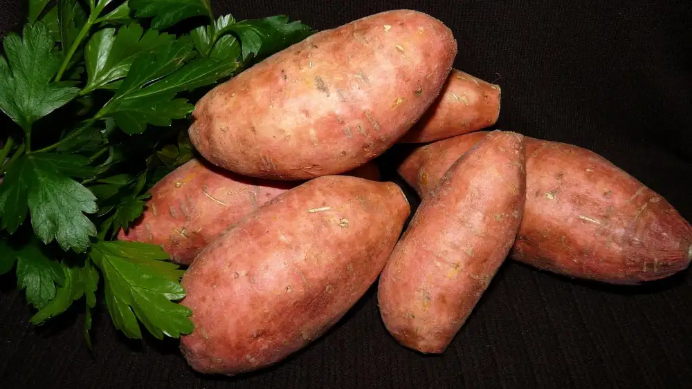 How To Cook Sweet Potato In Microwave